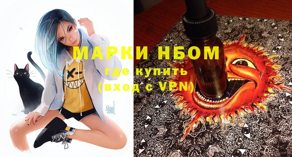 крисы Пестово